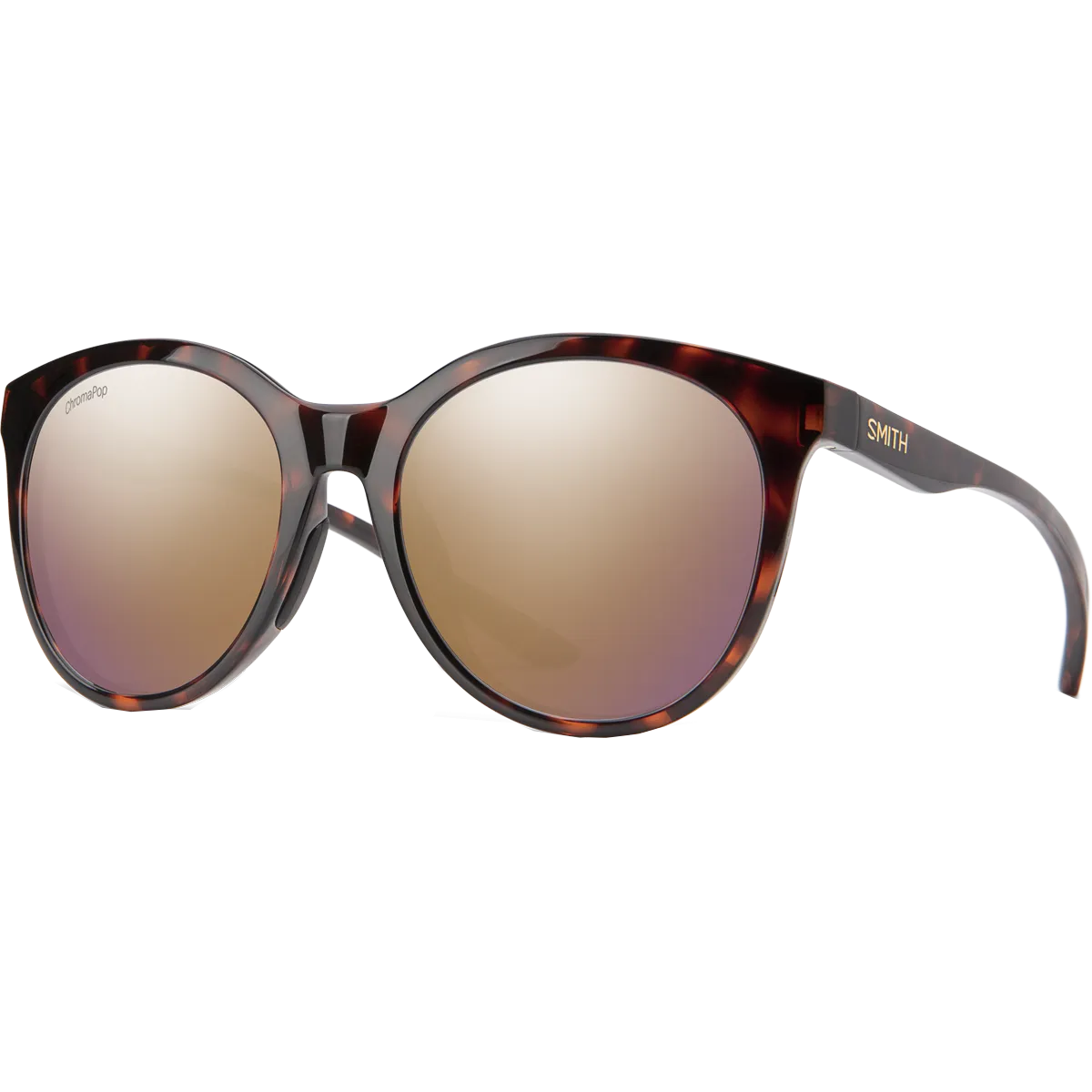 Bayside Polarized