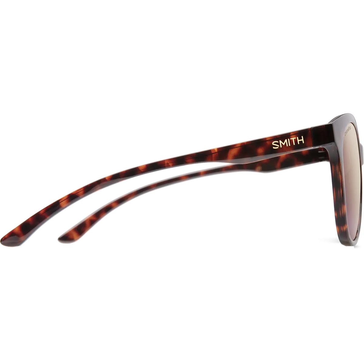 Bayside Polarized