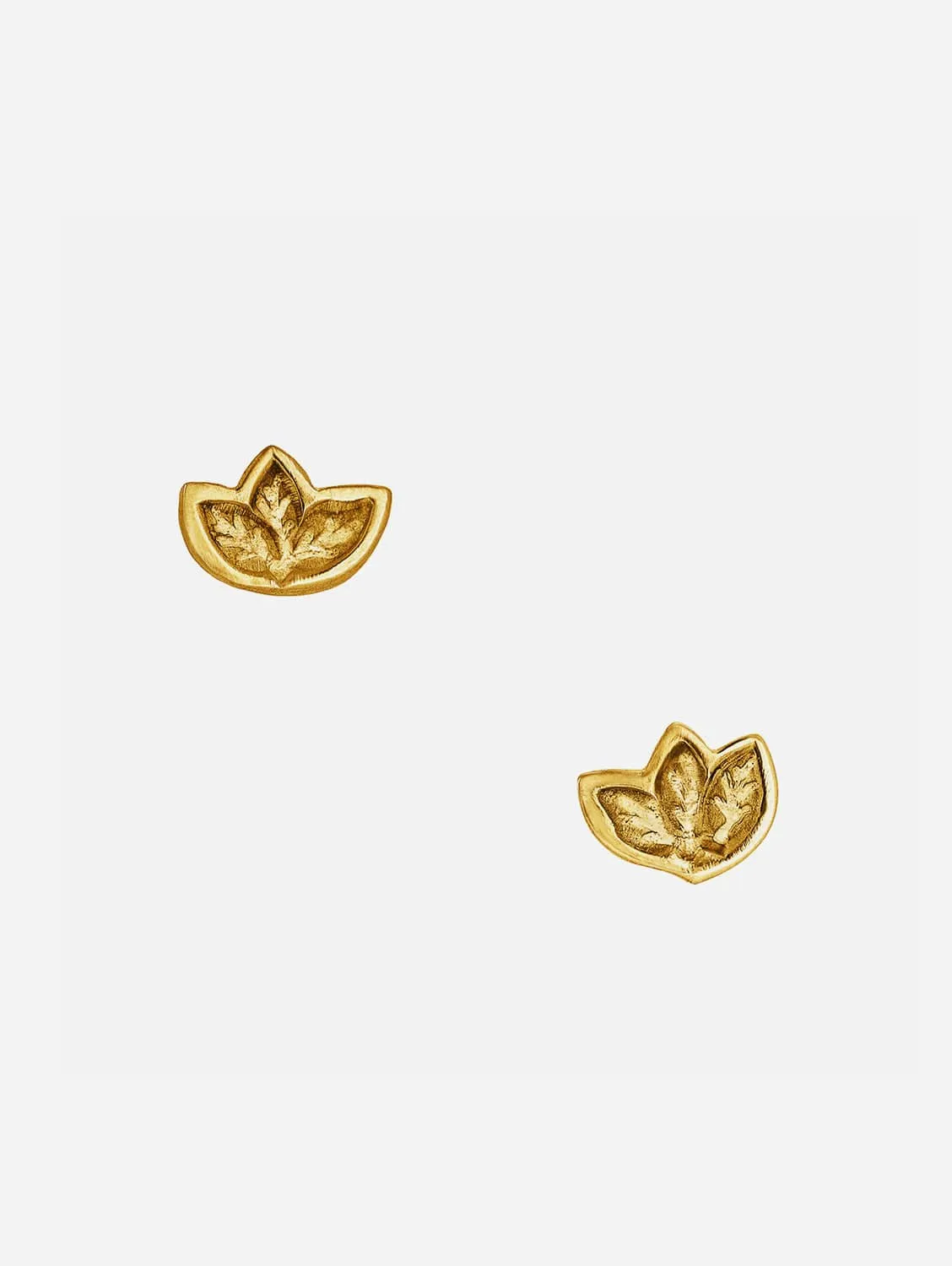Fairtrade Yellow Gold Leaf Studs | 9ct
