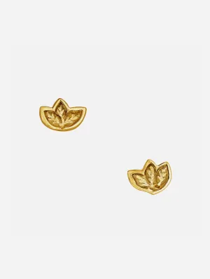 Fairtrade Yellow Gold Leaf Studs | 9ct