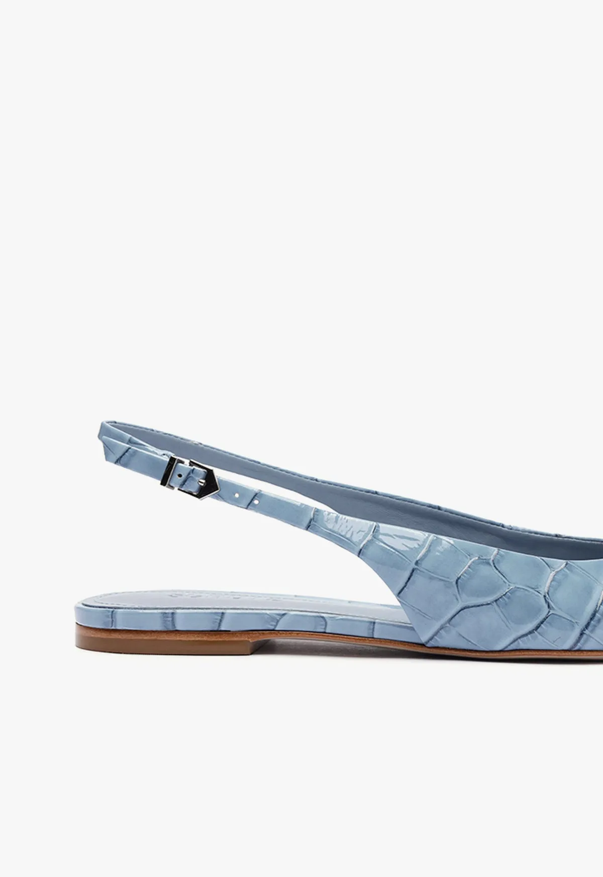 Paola Ballet Flat
