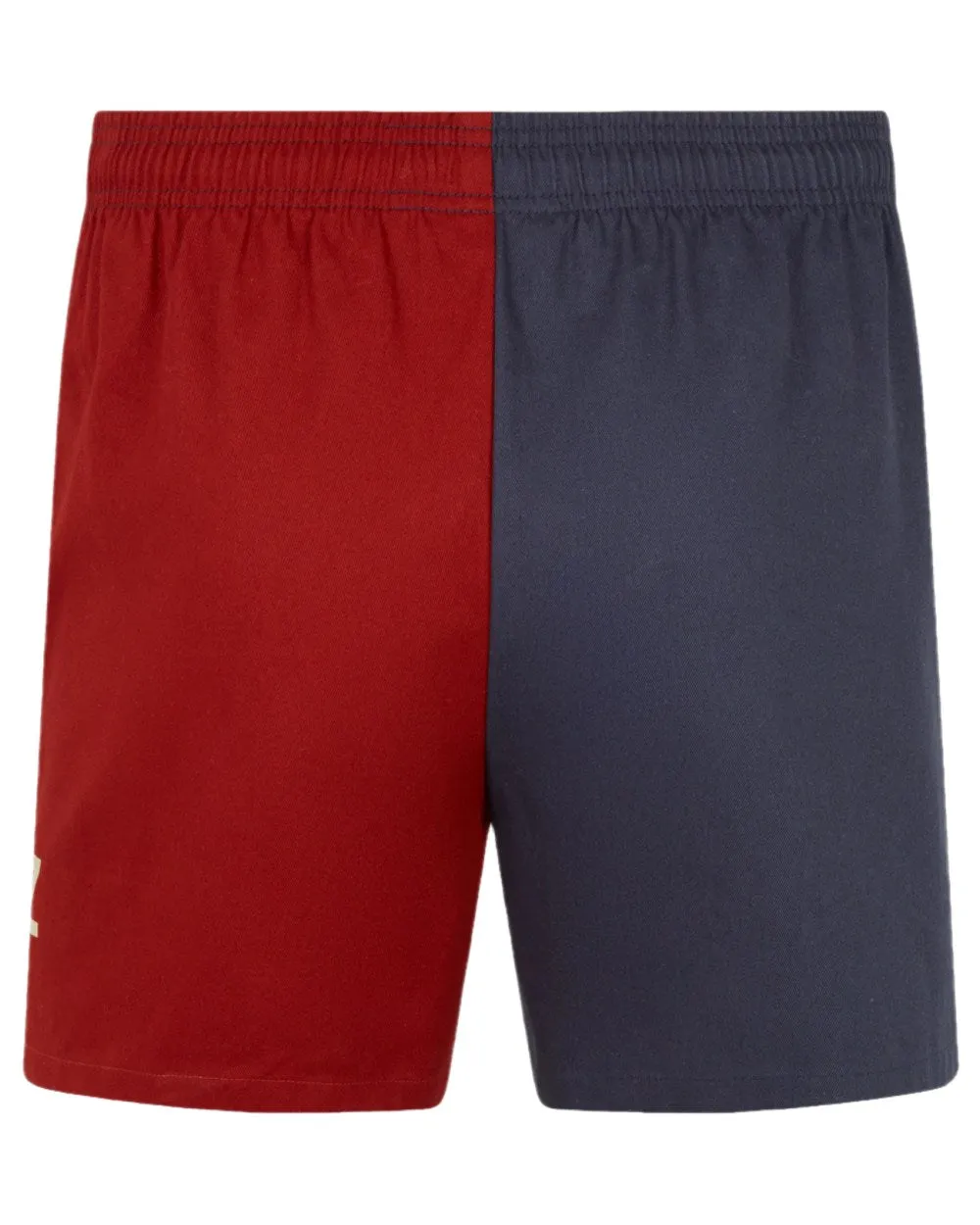 Ridgeline Backslider Shorts