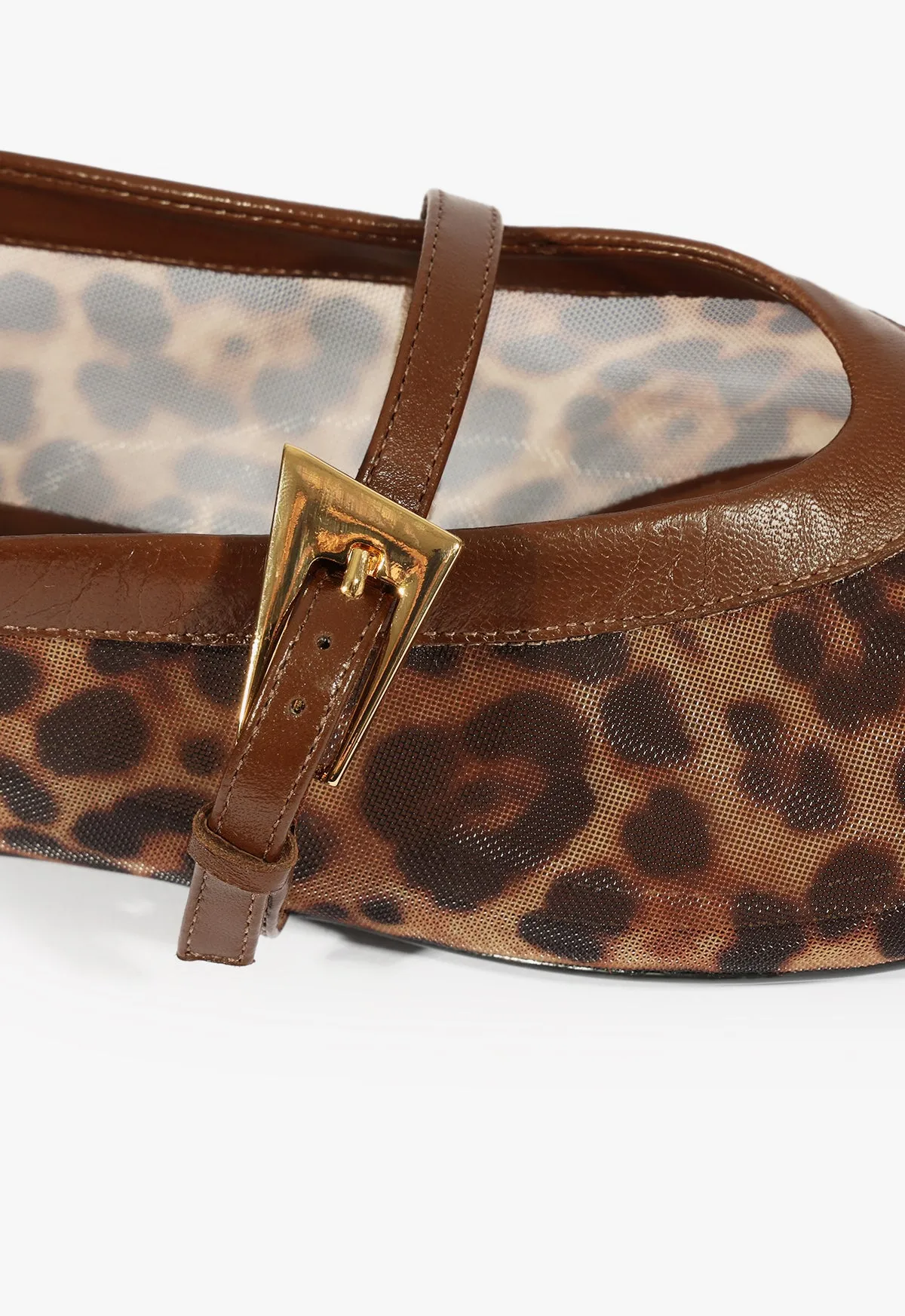 Sylvie Ballet Flat